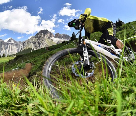Mountainbike Fahrtechniktrainer Fortbildung Bike Park und Enduro
